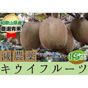 【ふるさと納税】キウイフルーツ 秀品 ヘイワード 15玉【1月下旬～3月下旬発送】