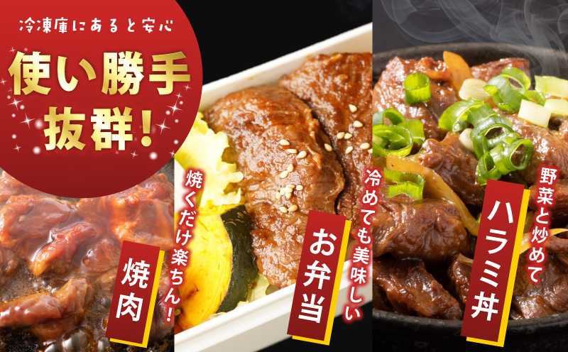 牛ハラミ タレ漬900g（300g×3パック）【牛肉 焼肉用 焼くだけ はらみ 小分け BBQ やきにく 肉】 099H4386