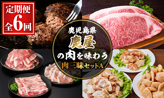 
            8001 【定期便６回】鹿屋の肉を味わう 肉三昧セットＡ【定期便 お楽しみ 黒豚 スライス 味噌漬け 鶏肉 南蛮 味付き肉 黒毛和牛 サーロイン 黒牛 ハンバーグ 豚肉】
          