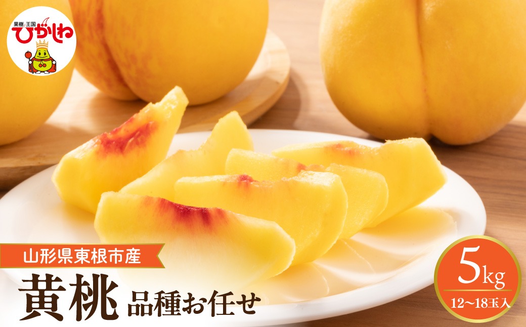 【2026年産先行予約】　採れたて黄桃(品種お任せ) 約5kg (12～18玉)晴天畑提供 山形県 東根市 hi026-058