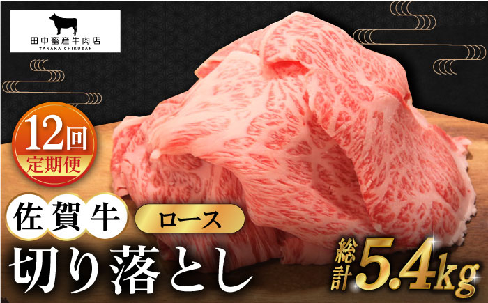 
【全12回定期便】佐賀牛 ロース 切り落とし 450g【田中畜産牛肉店】 [HBH068]
