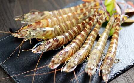 特殊冷凍 車海老 約750g（27～33尾） 3パック エビ 海老 えび クルマエビ 車エビ 養殖 瞬間冷凍