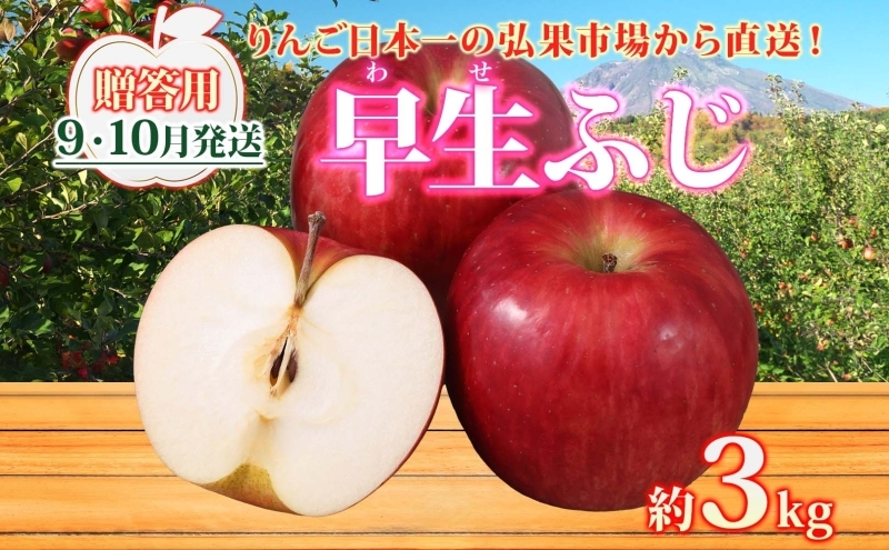 
                  りんご 【9月・10月発送】贈答用 早生ふじ 約3kg　リンゴ 林檎 青森りんご 糖度 13度 甘い 酸味 デザート フルーツ 果物 お取り寄せ 産地直送 旬 季節限定 弘果物流 青森県 西目屋村 西目屋村産
                