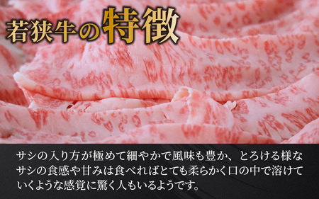 若狭牛A5ランクしゃぶしゃぶ用ロース 500g[C-037001] / しゃぶしゃぶ