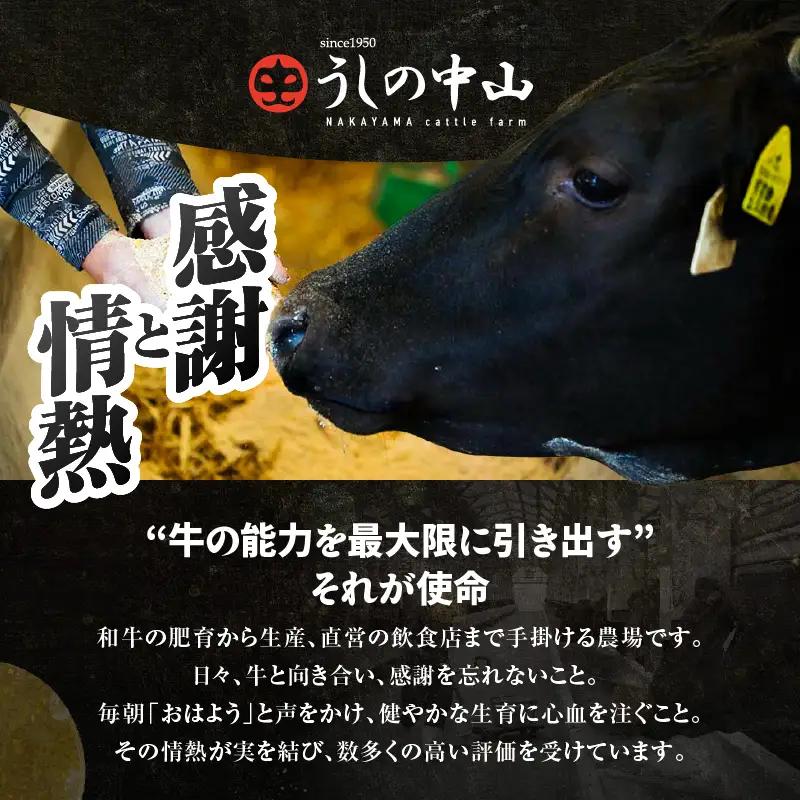2472 【 鰻 も 牛 もどっちもイエェェェーイ！ 5 】 鹿児島県 大隅産 「 カット 」 うなぎ蒲焼 80g×1枚 うしの中山 サーロインステーキ 200g KN050-017 肉 牛肉 魚 冷