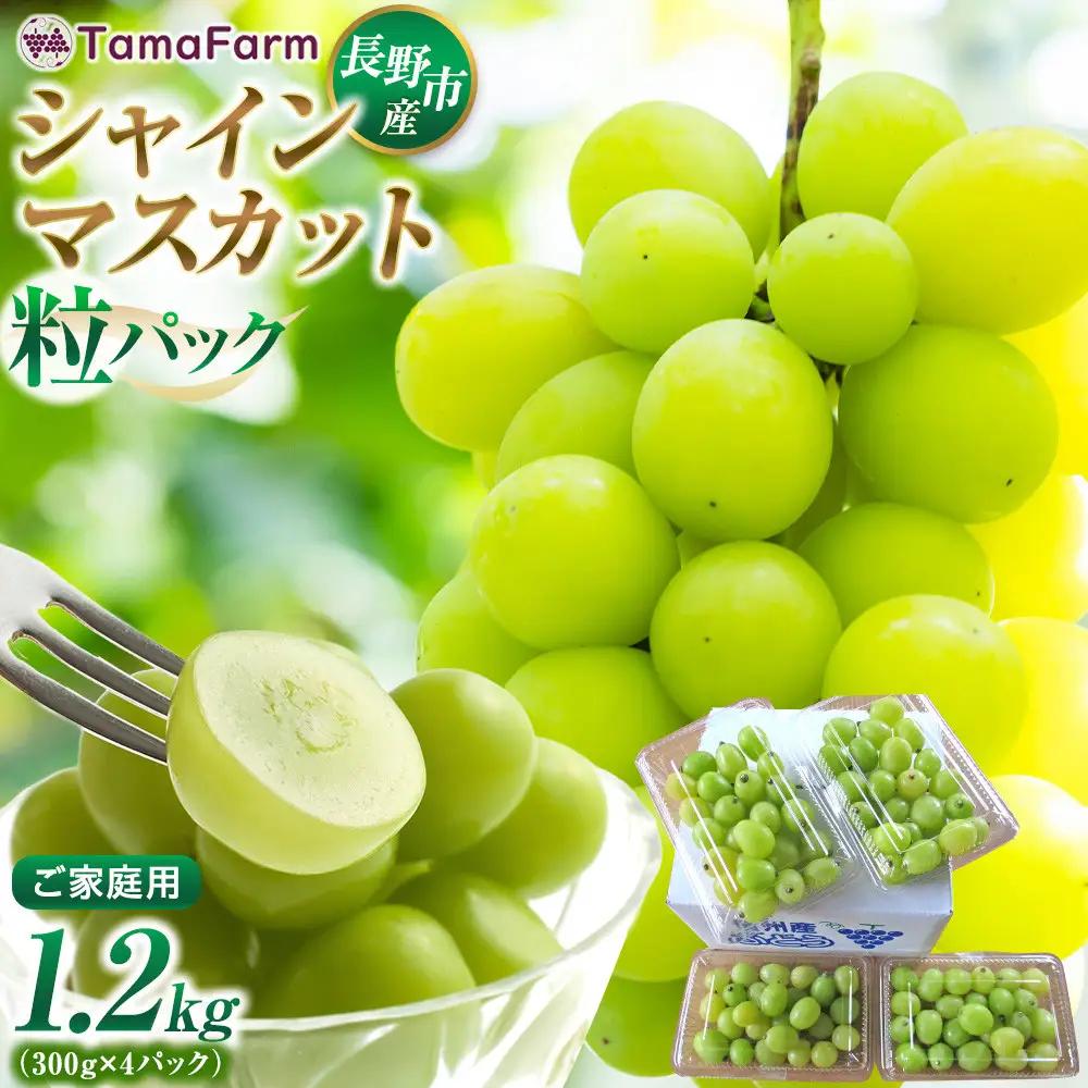 タマファーム　長野市産 シャインマスカット 粒パック ご家庭用 1.2kg（300g×4パック）  | シャインマスカット ぶどう 葡萄 フルーツ