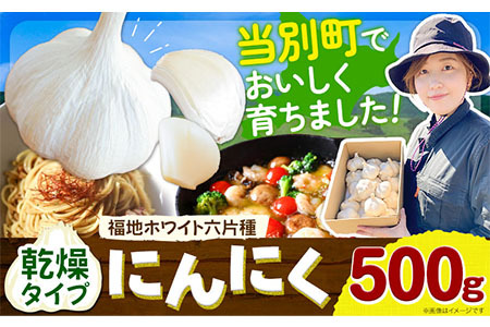 [0.4-193]【令和7年先行受付】にんにく（福地ホワイト六片種）500g | にんにく ニンニク 乾燥にんにく 国産にんにく 北海道にんにく