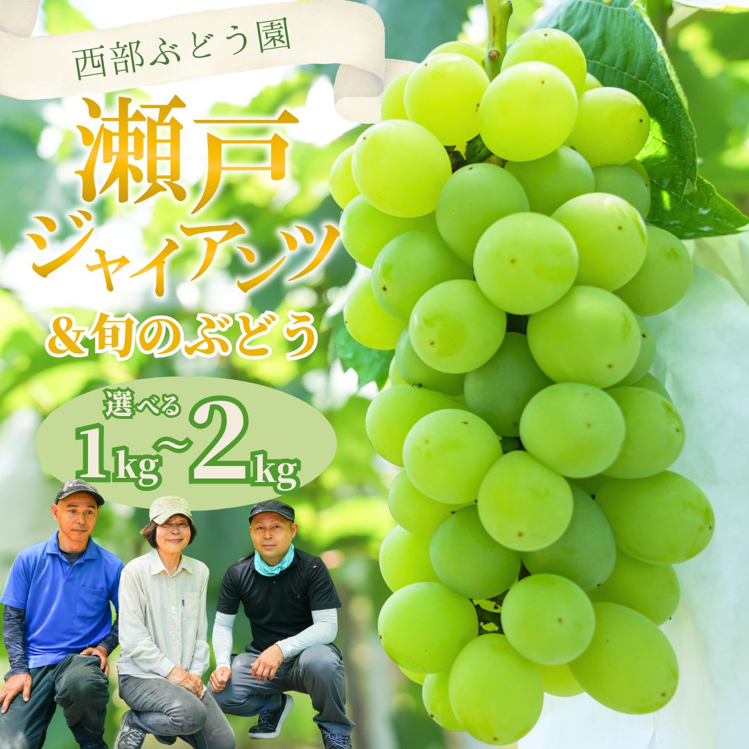 【ふるさと納税】【選べる内容量！】西部ぶどう園 瀬戸ジャイアンツと旬のぶどうセット1~2kg | 薄皮 種なし 大粒 葡萄 ぶどう ブドウ フルーツ 果物 皮ごとOK 白ぶどう 高糖度 詰合せ 数量限定 ※沖縄・離島への配送不可 ※2025年9月下旬～10月下旬頃に順次発送予定
