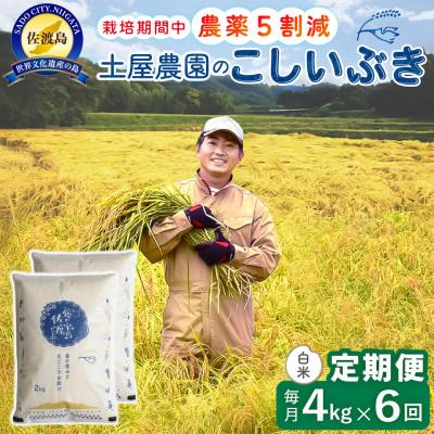 ふるさと納税 佐渡市 【毎月定期便】佐渡島産こしいぶき 白米4Kg 土屋農園 農家直送 栽培期間中農薬5割減　全6回
