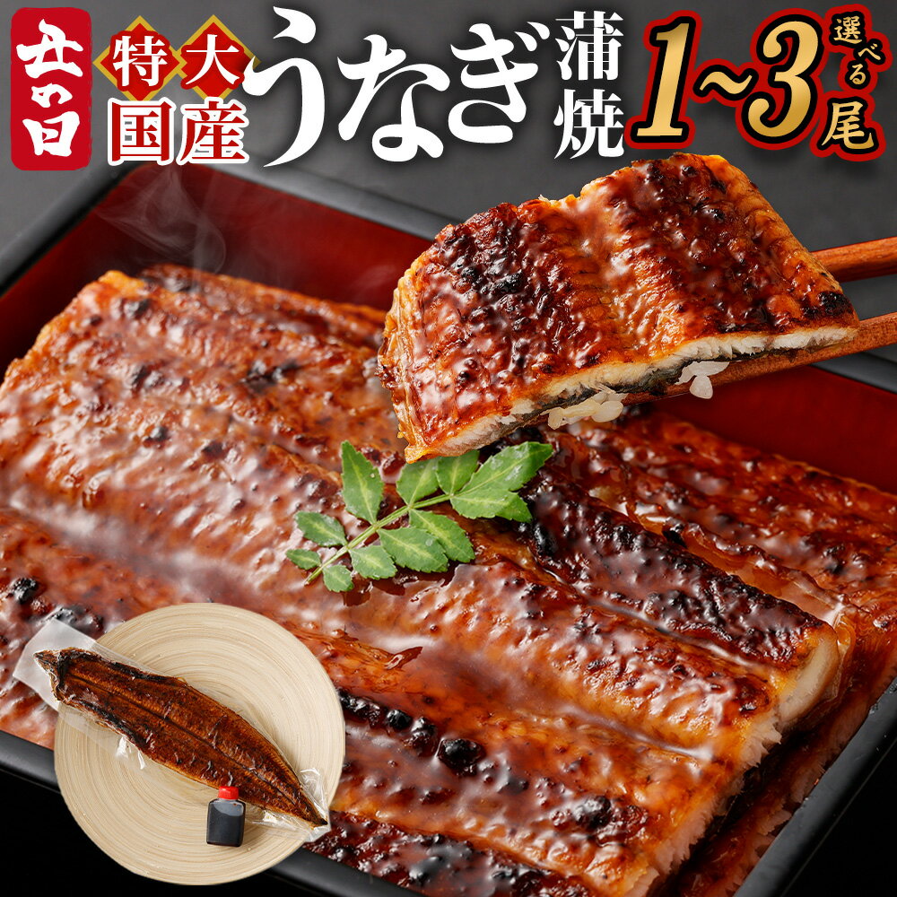 【ふるさと納税】【2025年7月12日～15日発送予定】土用の丑「国産 うなぎ蒲焼」＜選べる＞ 1～3尾 （1尾あたり230〜250g） 特製タレ1～3個セット ｜ 鰻 かば焼き 蒲焼き セイロ蒸し せいろ蒸し たれ タレ 土用の丑の日 予約 大阪府 阪南市 送料無料
