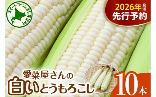 【先行受付】【2026年7月下旬～8月中旬頃配送】北海道十勝芽室町 とうもろこし 10本 ホワイト種 me002-005c-26