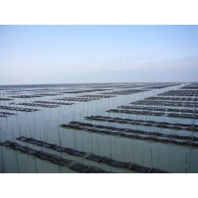 ふるさと納税 遠賀町 (福岡有明海苔5つの味 8切240枚)有明海産一番摘「味付けおかず海苔　6袋入詰合セット」(遠賀町) |  | 03