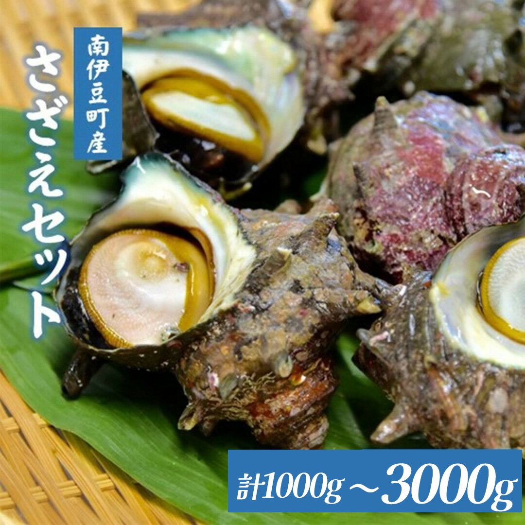 【ふるさと納税】さざえ サザエ 1000g 天然 活 魚介 海産 海鮮 産地直送 BBQ バーベキュー 送料無料 伊豆 静岡 臼竹商店 さざえセット