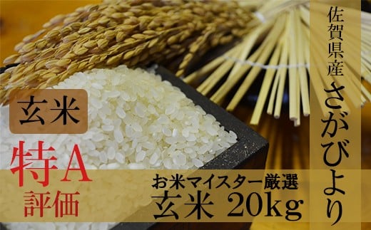D-12 令和7年産 佐賀県産 厳選 さがびより 玄米20kg