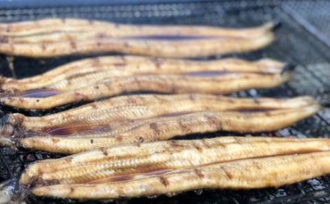 ヤマシン特選蒲焼きうなぎ3尾