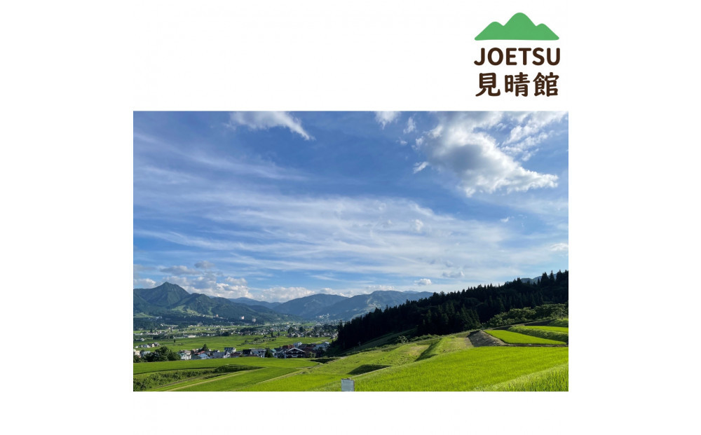 【令和8年産新米予約】【頒布会】〈塩沢地区限定・棚田米〉南魚沼産コシヒカリ　特別栽培米５割減農薬　精米５キロ×全６回【2026年10月上旬より順次発送予定】