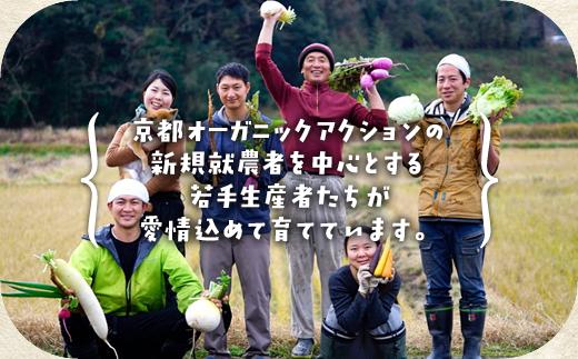 【6回定期便】＜アスカ有機農園＞旬の京野菜セットL（平飼い卵付）＊毎月お届け全6回 《野菜定期便 野菜詰め合わせ 野菜セット 京野菜 旬の野菜 新鮮野菜 有機野菜 無農薬野菜 卵》※2025年8月より