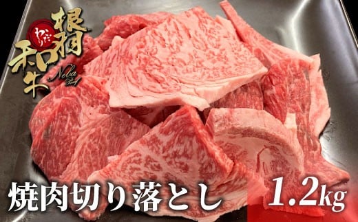 大人気につき最短１月発送★根羽こだわり和牛 焼肉切り落とし 1.2kg ( 600g×2 ) リブロース カタロース モモ カタ バラ ウデ 焼肉用 切り落とし 20000円 国産黒毛和牛 ブランド牛  霜降り 不揃い