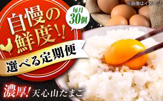 天心山　たまご30個　【回数が選べる定期便】卵 たまご 高級 食品 たまごかけご飯 卵かけご飯 卵焼き 生卵 濃厚 ケーキ お菓子 づくり ランキング 上位 人気 おすすめ 定期便　広島県福山市/天心山ファーム [BABW028]