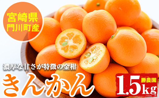 ＜先行予約受付中！2026年2月以降順次発送予定＞宮崎県門川町産きんかん(約1.5kg)金柑 キンカン 柑橘 フルーツ 果物 国産 冷蔵【AE-11】【勝農園】
