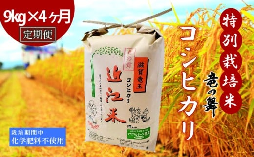 【定期便4回コース】 こしひかり 白米 9kg×4回  2025年産 竜の舞 化学肥料不使用 特別栽培米 玄米 時容量 10kg 国産 安心 安全 近江米 米 お米 白米 お弁当 玄米 産地直送 滋賀県 竜王町 送料無料