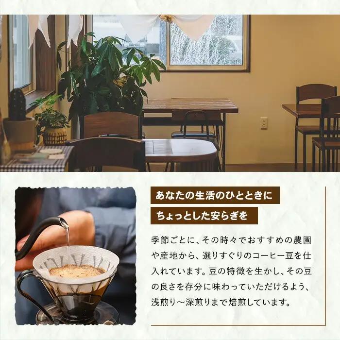 コーヒー 粉 スペシャルティコーヒー 100g × 3種 コーヒー粉【00-131-07】