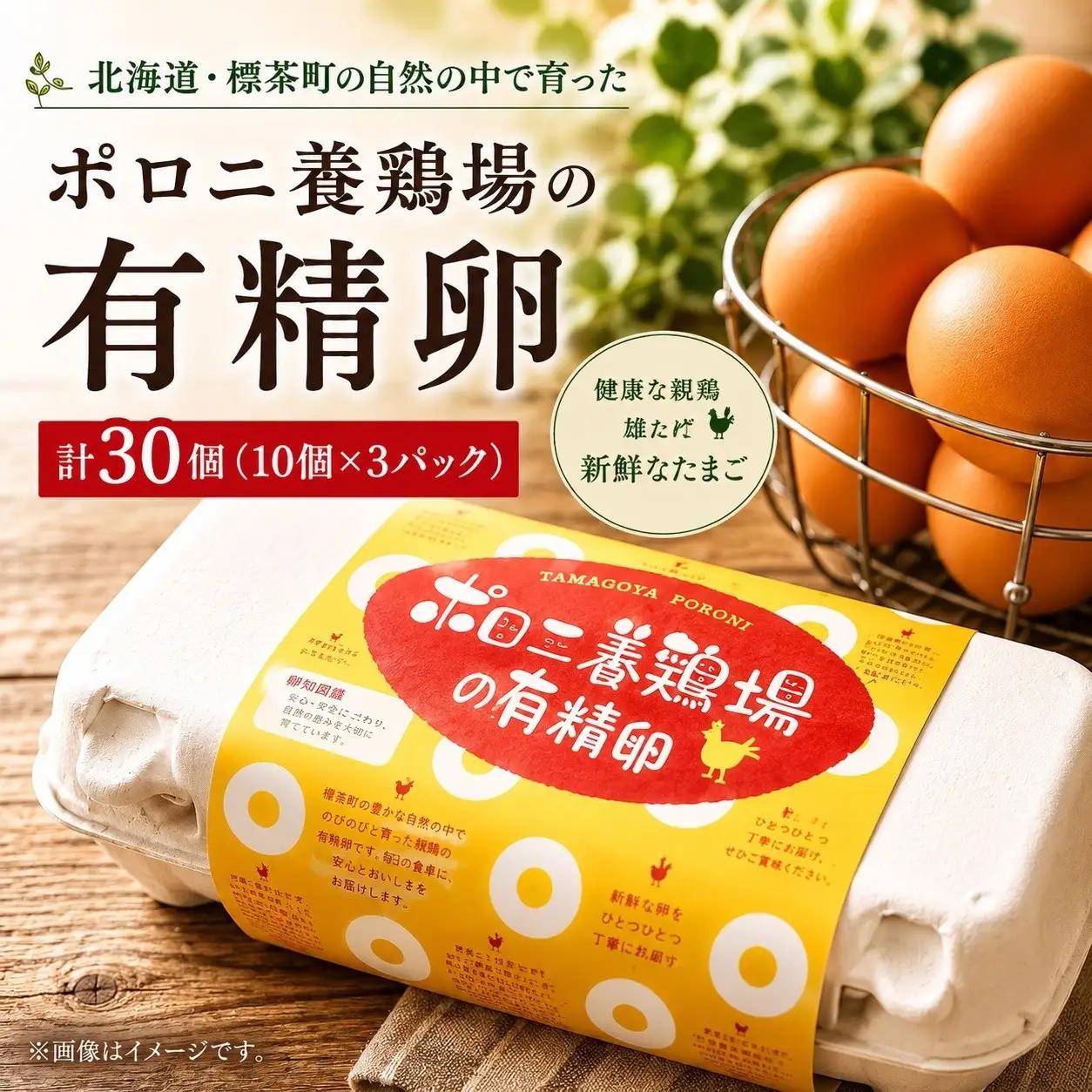 ポロニ養鶏場　標茶町産有精卵10個×3パック　|  卵