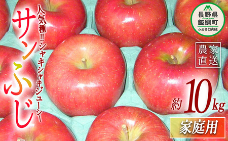 りんご サンふじ 家庭用 10kg ヤマウラ農園 2026年11月下旬頃から2026年12月上旬頃まで順次発送予定 令和8年度収穫分 信州 果物 フルーツ リンゴ 林檎 長野 予約 農家直送 長野県 