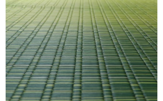 掛川織り福岡花ござ「大自然」草原（6畳　261×352cm）　AA310
