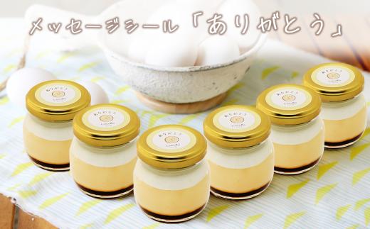 CocoRo プリン 6個セット（ ギフト包装 ＋ メッセージシール「ありがとう」 ）│ スイーツ 生クリーム カスタードクリーム バニラ 牛乳 卵 国産 甘味 お菓子 デザート ギフト 茨城県 つくば市