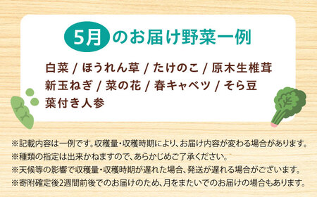 【数量限定・先行予約5】厳選！旬を味わう高槻野菜詰合せセット（10種～15種）【2024年5月発送】