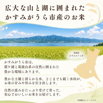 ふるさと納税 かすみがうら市 令和8年産 新米 お米屋さんのにじのきらめき 精米 5kg(1袋) |  | 01