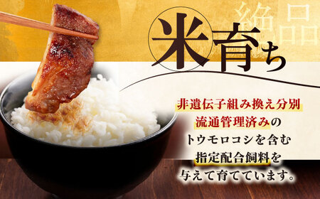 【全3回定期便】平田牧場 ロース みそ漬け 6枚 (3枚×2P) 豚肉 ロース 小分け [AJAP055]