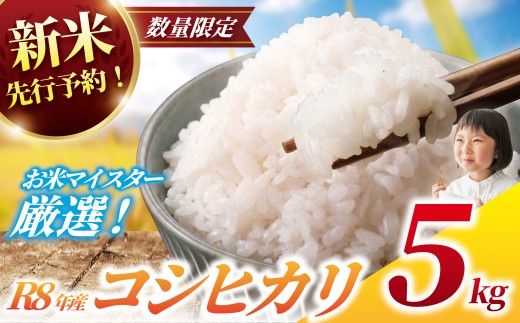 新米 【先行予約】【数量限定】 コシヒカリ 5kg 【9月以降順次発送】 一等米 白米 令和8年産 米 お米 5kg 米5kg お米マイスター 厳選 白飯 ※ okome kome おむすび おにぎり 千葉県産 こしひかり コシヒカリ R8年産 2026年産 精米 千葉県 香取市 OYD008
