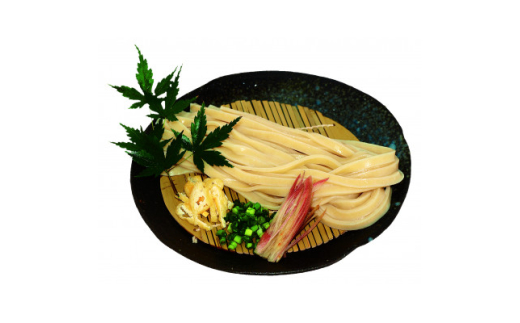 風味豊か、氏家うどん3種 合計2340g+麺スープ400ml×2本セット【1459102】
