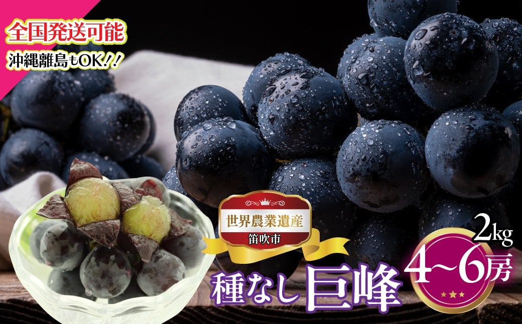 
                  【2026年発送★先行予約】山梨県笛吹市産　種なし巨峰　2kg　4～6房 223-004-26y
                