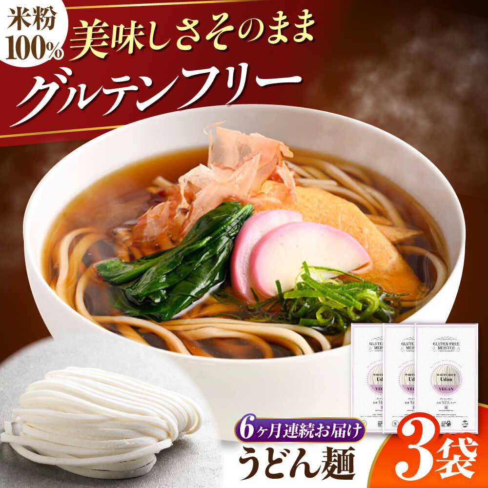 【ふるさと納税】【6回定期便】 【グルテンフリー】 力強いコシを楽しむ！ 米粉うどん うどん グルテンフリー 米粉 岐阜市 / 小林生麺[ANGM023]