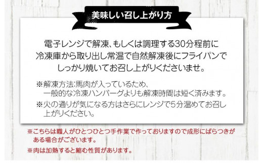 手作りハン馬ーグ 100g×10個 馬肉100% ハンバーグ   肉 お手軽 《30日以内に出荷予定(土日祝除く)》---oz_fkgumburg_30d_23_12000_10k---