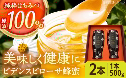 コハマのハチミツ ビデンスピローサ蜂蜜 500g×2本 蜂蜜 はちみつ ハチミツ 国産 ギフト 沖縄市 / 農業生産法人株式会社小浜養蜂場 [BCAQ003]