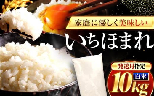 【2月発送】福井県産 いちほまれ 精米 10kg 県産ブランド米 / コメ 白米  米 小浜市 / 梅田東米穀店 [BFEK021]