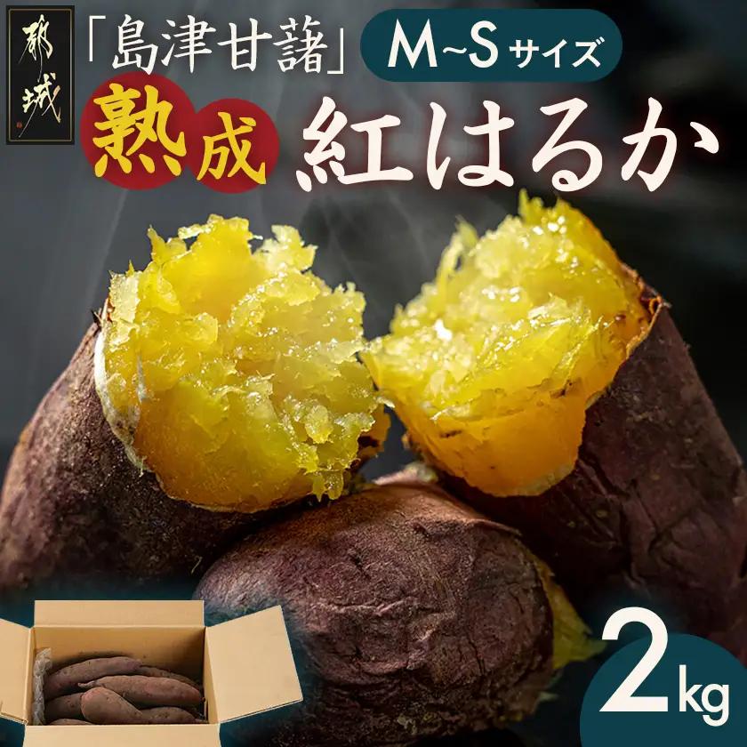 島津甘藷　熟成紅はるか 2kg(M～S)〔LB-A7-001-2kg〕_(都城市) さつまいも 幻のサツマイモ 幻の品種 紅はるか 2kg M～S べにはるか 生芋 ベジエイト 熟成 芋 定番 焼き芋