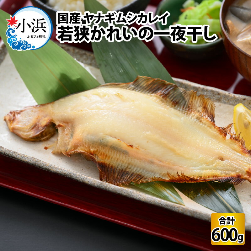 【ふるさと納税】国産 若狭かれいの一夜干し 600g / 干物 一夜干し 若狭 かれい カレイ ブランド 福井 ヤナギムシカレイ 焼き魚 魚介 冷凍 小分け 【配送不可地域：北海道・沖縄・離島】 [BFAE023]