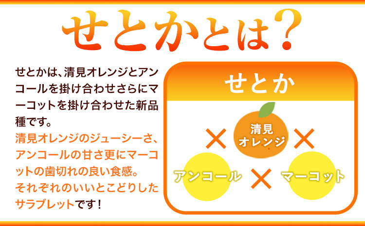 【先行予約】とろける食感!ジューシー柑橘 せとか 約3kg 株式会社魚鶴商店《2026年2月下旬-3月下旬頃出荷》 和歌山県 日高町 せとか 柑橘
