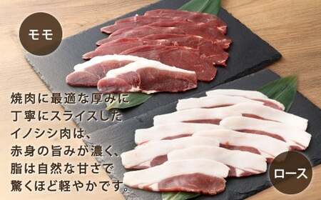 天然イノシシ肉 焼肉用 スライス 約3kg（200g×15）【2026年5月上旬まで発送予定】イノシシ肉 イノシシ 猪 肉 お肉 焼肉用 焼肉 スライス 冷凍 福岡県 北九州市