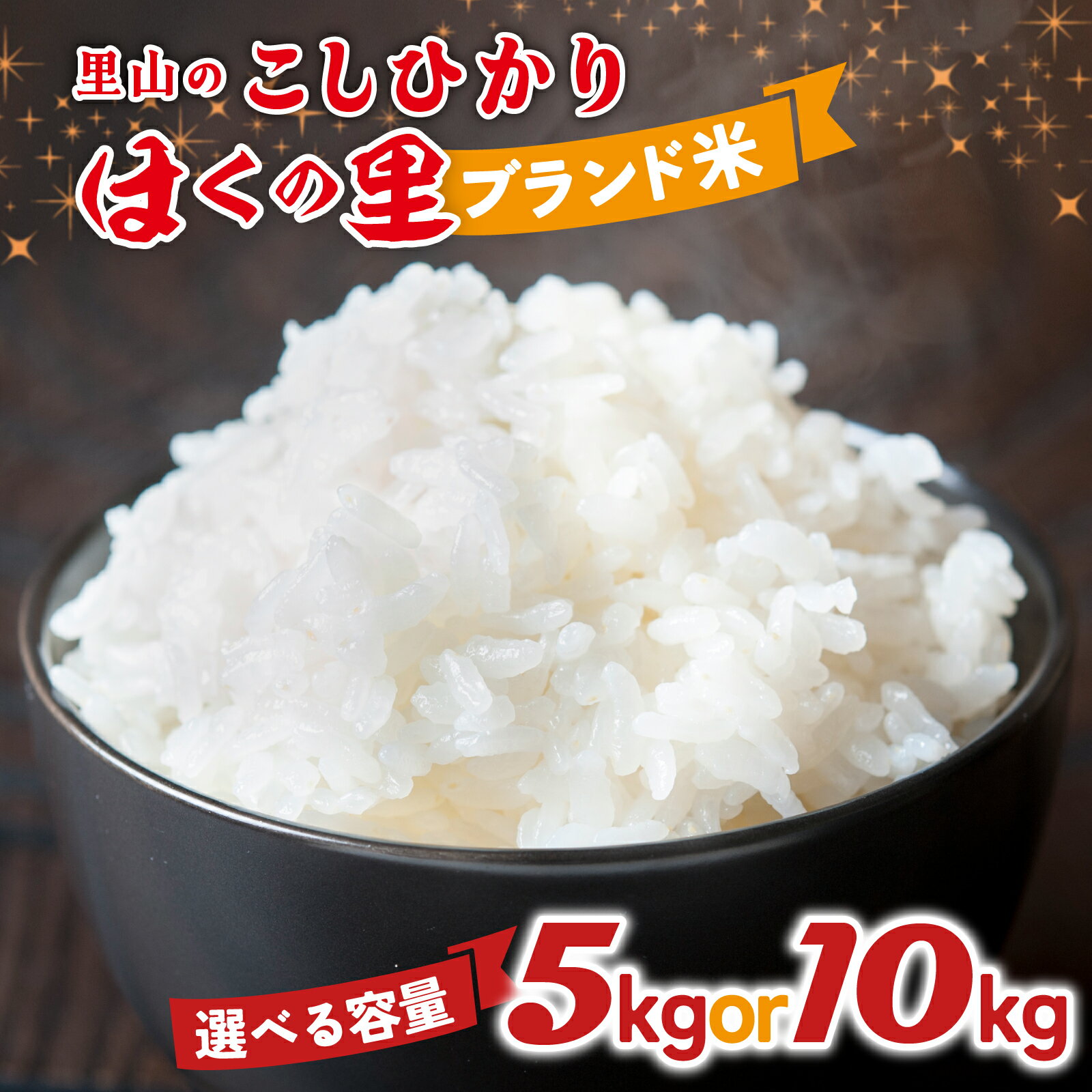 【ふるさと納税】【容量が選べる】里山のこしひかり ほくの里 5kg～10kg | 令和7年産 こしひかり コシヒカリ ブランド米 銘柄米 災害支援 お米 10キロ 5キロ 5kg 白米 精米 国産 選べる 送料無料