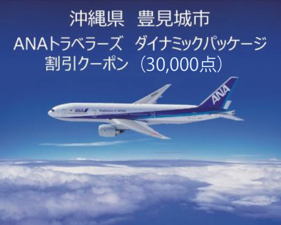 CC005　沖縄県豊見城市ANAトラベラーズダイナミックパッケージクーポン30,000点分