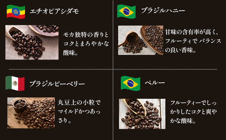 世界の 珈琲豆 10種類 飲み比べセット100g×10袋  豆 ドリップバッグ1袋 