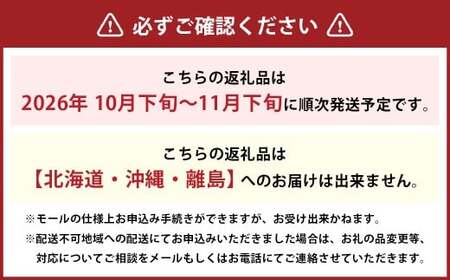 シャインマスカット 約1.3kg以上（2房） 【2026年10月下旬-11月下旬発送予定】 シャイン マスカット ぶどう 葡萄 ブドウ 果物 くだもの フルーツ ギフト お取り寄せ 国産