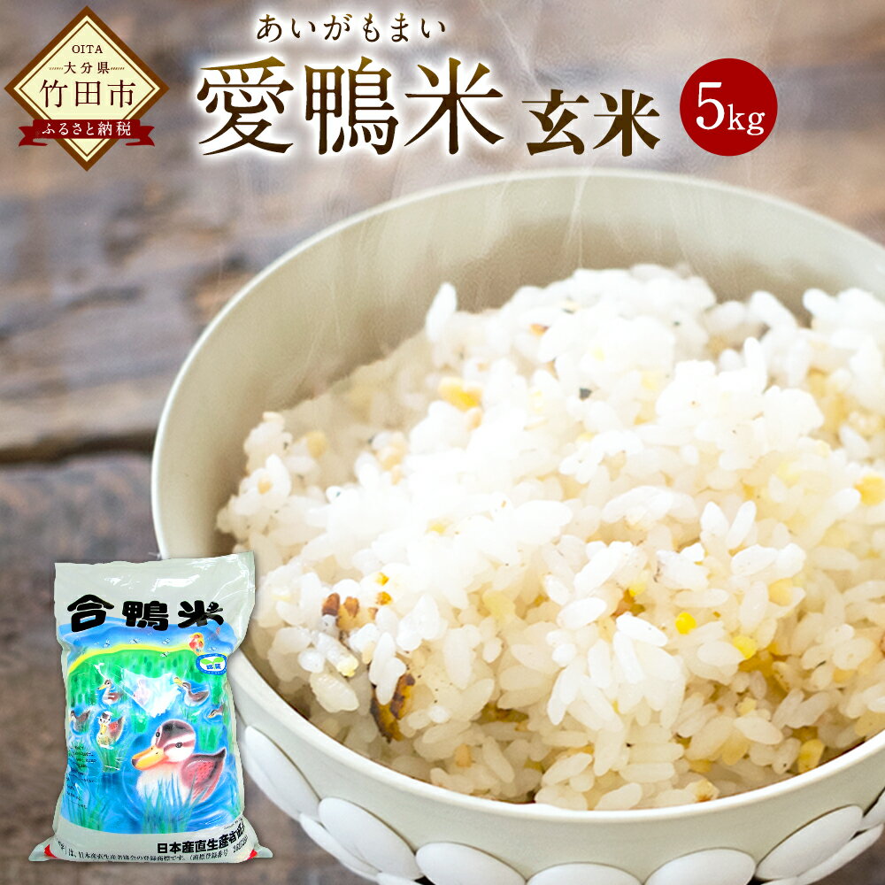 【ふるさと納税】〈令和7年産〉 愛鴨米 玄米 5kg 送料無料 ナツホノカ うるち玄米 祖母山 一番水 大分県産【2025年10月上旬～2026年10月上旬発送予定】