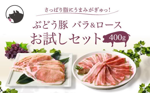 【希少】ブランド豚「綾ぶどう豚」 バラ＆ロース お試しセット 400g (200g×2)【宮崎県産 綾町産 ぶどう豚  豚肉 国産 銘柄豚 ポーク 豚バラ 豚ロース 焼肉 しゃぶしゃぶ 冷凍 送料無料】